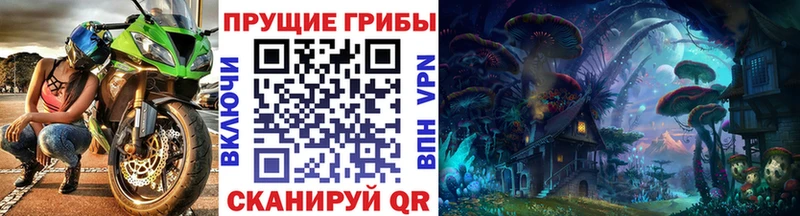 Галлюциногенные грибы Psilocybe  Купить  Горячеводский 